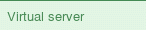 Virtual server